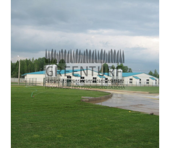 Озеленение крупного кролиководческого комплекса - фото - 10